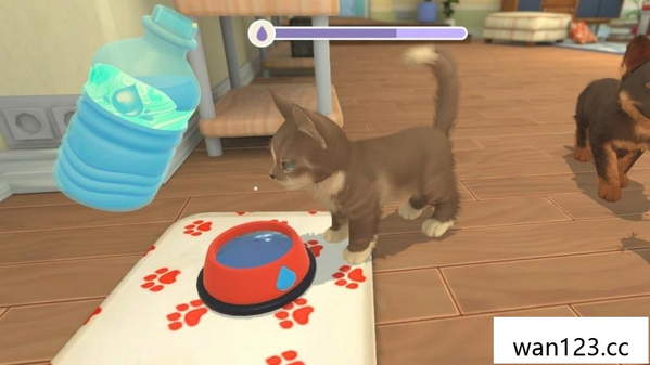  我的宇宙：小猫小狗 My Universe  Puppies & Kittens NS switch游戏 百度网盘下载