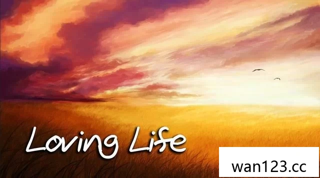  爱生活（Loving Life）[P] NS switch游戏 百度网盘下载