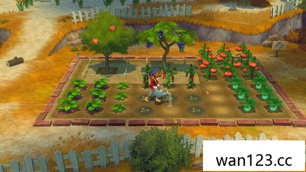 牧场物语风之繁华集市|官方中文|本体+1.1.0升补+11DLC NS switch游戏 百度网盘下载