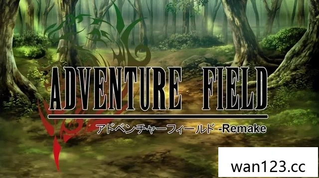  冒险之地：重制版（Adventure Field Remake）[P] NS switch游戏 百度网盘下载