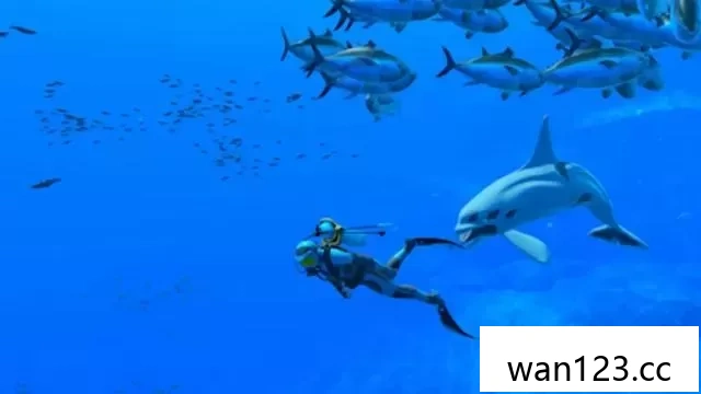  永恒蔚蓝：流光（Endless Ocean: Luminous）中文[XCI] NS switch游戏 百度网盘下载